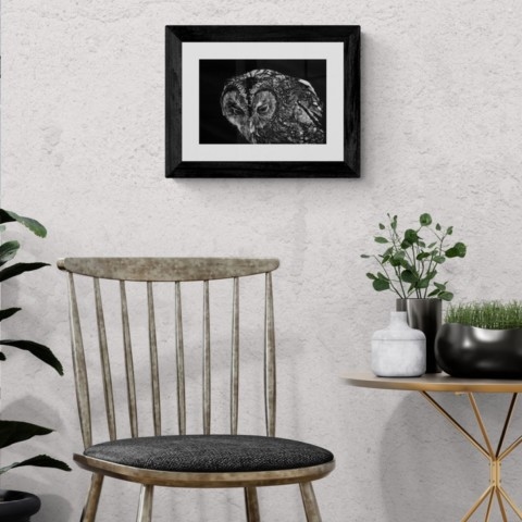 Scratchboard d'une chouette en situation au dessus d'une chaise
