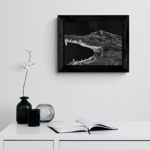 Scratchboard d'un portrait de crocodile en situation au dessus d'un meuble