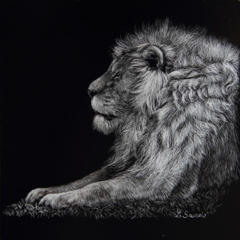Scratchboard d'un portrait de lion de profil