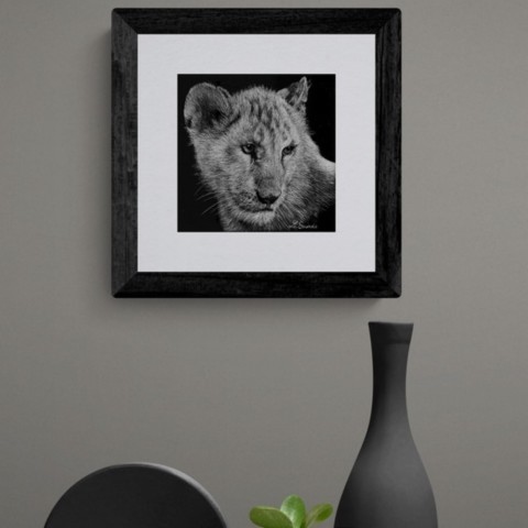Scratchboard d'un lionçeau en situation - peintre animalier Laurence Saunois