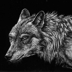 Scratchboard d'un portrait de loup de profil