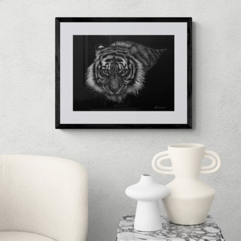 Scratchboard d'un portrait d'une tigresse en situation avec des vases 