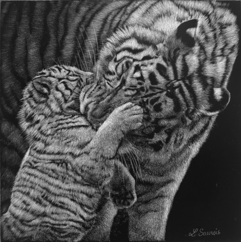 Scratchboard d'une tigresse et de son petit - peintre animalier Laurence Saunois