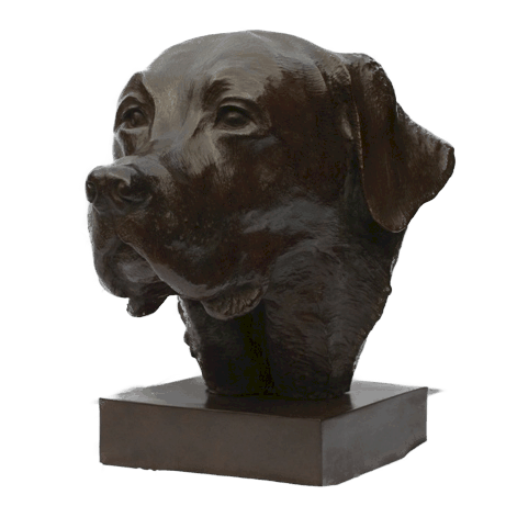 Sculpture de labrador par Laurence Saunois, artiste peintre animalier