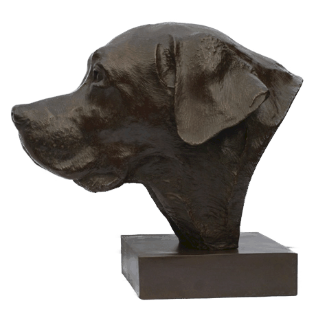 Sculpture de labrador par Laurence Saunois, artiste peintre animalier