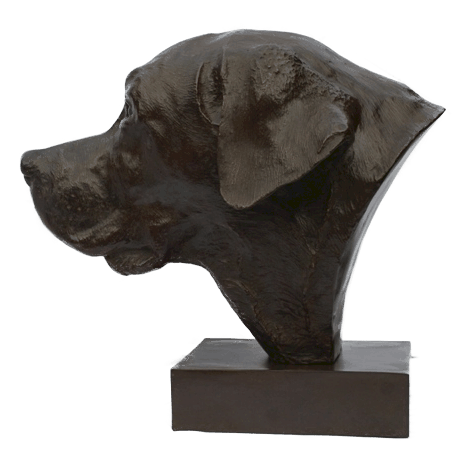 Sculpture de labrador par Laurence Saunois, artiste peintre animalier