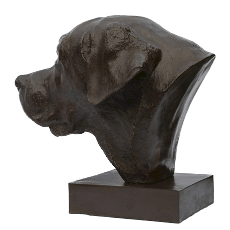 Sculpture de labrador par Laurence Saunois, artiste peintre animalier