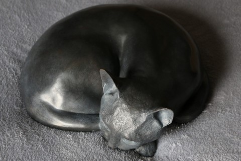 Sculpture de chat Chartreux en bronze par l'artiste animalier Laurence Saunois