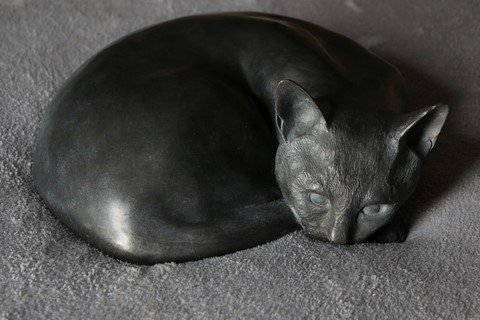 Sculpture de chat Chartreux en bronze par l'artiste animalier Laurence Saunois