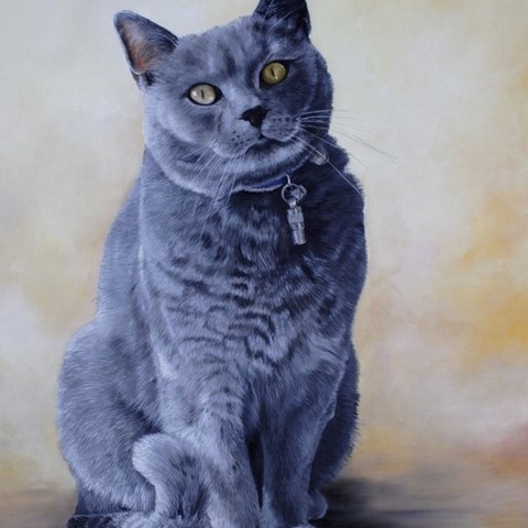 Peinture de chat Chartreux debout par l'artiste Laurence Saunois, peintre animalier