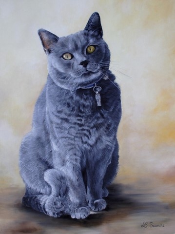 Tableau de chat Chartreux assis par Laurence Saunois, artiste peintre animalier