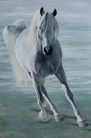 Peinture de cheval par Laurence Saunois, artiste peintre animalier