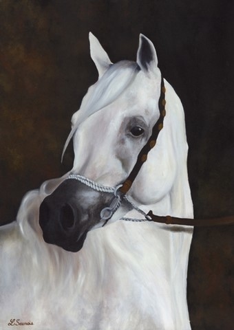 Peinture de cheval par Laurence Saunois, artiste peintre animalier