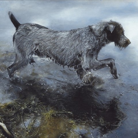 Peinture de chien de chasse par l'artiste Laurence Saunois, peintre animalier