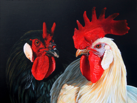 Tableau de coqs blancs et noir - Laurence Saunois, peintre animalier