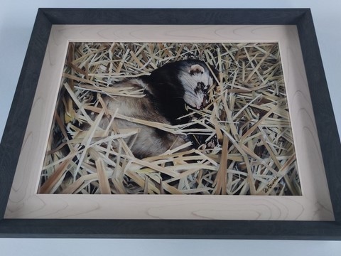 Encadrement - Peinture de furet par Laurence Saunois, peintre animalier