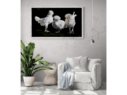 Tableau de poules blanches dans un salon par Laurence Saunois, peintre animalier
