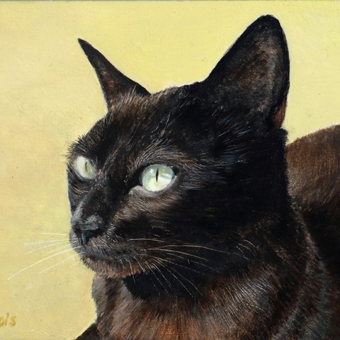 Tableau miniature de portrait de chat noir par la peintre animalier Laurence Saunois