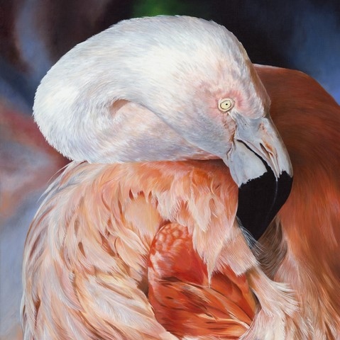 Peinture de flamant rose par L'artiste Laurence Saunois, peintre animalier