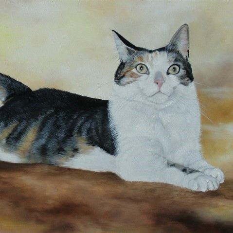Peinture de chat couché par l'artiste Laurence Saunois, peintre animalier