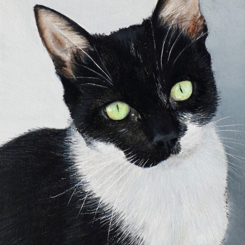 Tableau miniature de chat noir et blanc par la peintre animalier Laurence Saunois