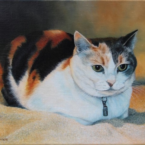 Painting of cat on blanket by Laurence Saunois, animal artist