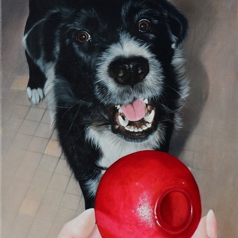 Peinture de chien Border Collie par Laurence saunois, peintre animalier