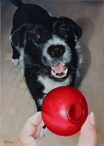 Peinture de Chien Border collie par l'artiste Laurence Saunois, peintre animalier