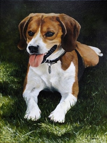 Beagle dog painting by the artist Laurence Saunois, animal painter