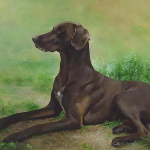 Painting of German Shorthaired pointer hunting dog by Laurence Saunois, animal artist 