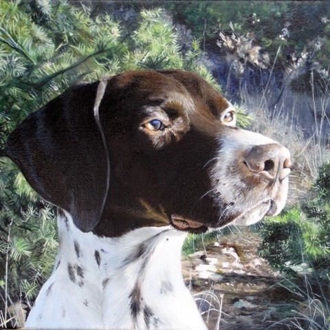 Painting of hunting dog by Laurence Saunois, animal artist