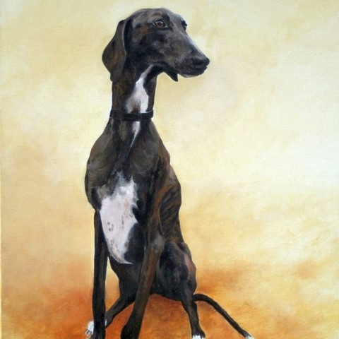 Painting of a sitting greyhound by the animal artist Laurence Saunois