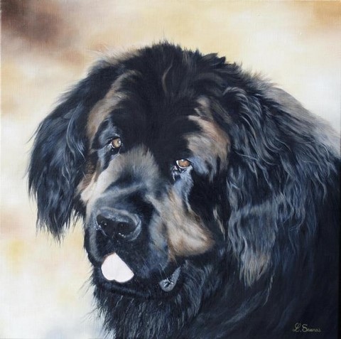 Peinture de chien Terre Neuve par l'artiste Laurence Saunois, peintre animalier