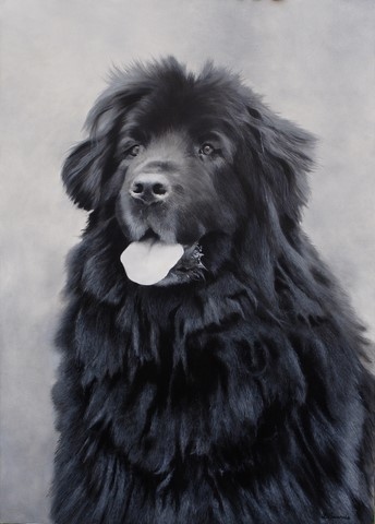 Tableau de chien de race Terre Neuve par Laurence Saunois, artiste peintre animalier