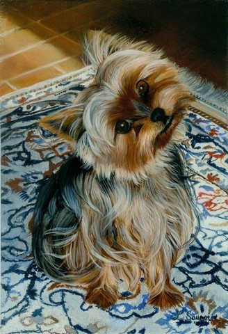 Peinture de chien de race Yorkshire Terrier par la peintre animalier Laurence Saunois