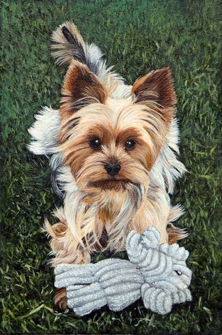 Tableau miniature de chien Yorkshire par la peintre animalier Laurence Saunois