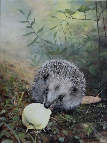 Peinture de hérisson avec une pomme par la peintre animalier Laurence Saunois