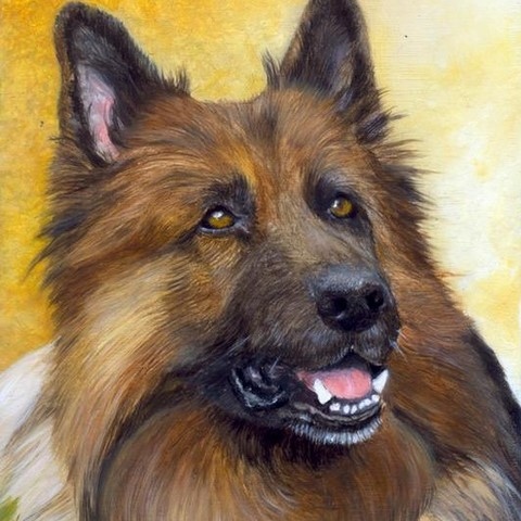 Miniature painting of German Shepherd dog by the animal artist Laurence Saunois