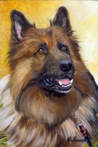 Original Miniature painting of a German Shepherd by Laurence Saunois, animal artist