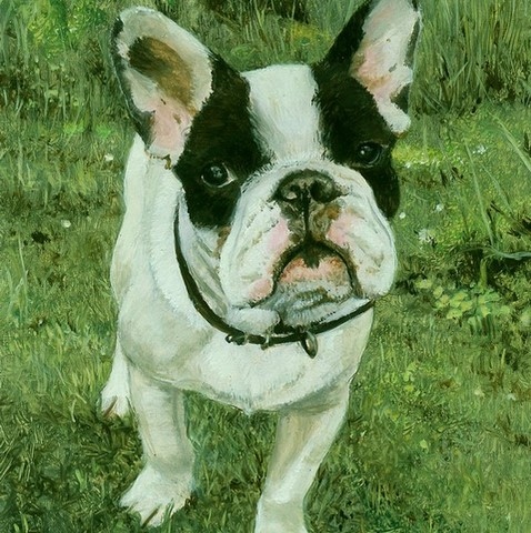 Tableau miniature de chien Bulldog français par la peintre animalier Laurence Saunois