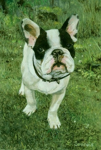Miniature painting of French Bulldog by the animal artist Laurence Saunois