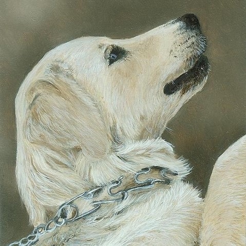 Miniature painting of Golden Retriever dog by the animal artist Laurence Saunois