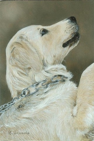 Peinture miniature de chien Golden Retriever par la peintre animalier Laurence Saunois