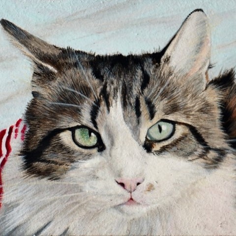 Tableau miniature de chat par la peintre animalier Laurence Saunois
