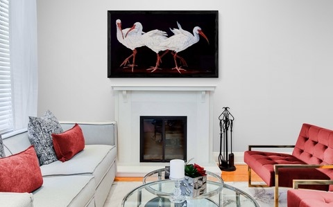 Peinture d'ibis dans un salon par Laurence Saunois, peintre animalier