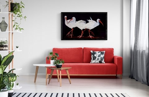 Peinture d'ibis dans un salon par Laurence Saunois, peintre animalier