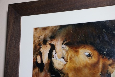 Peinture de veau encadré (détails cadre) par Laurence Saunois,  peintre animalier