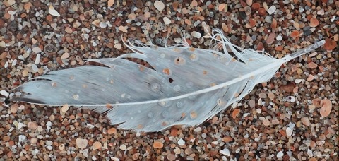 Peinture d'une plume sur le sable par la peintre animalier, Laurence Saunois