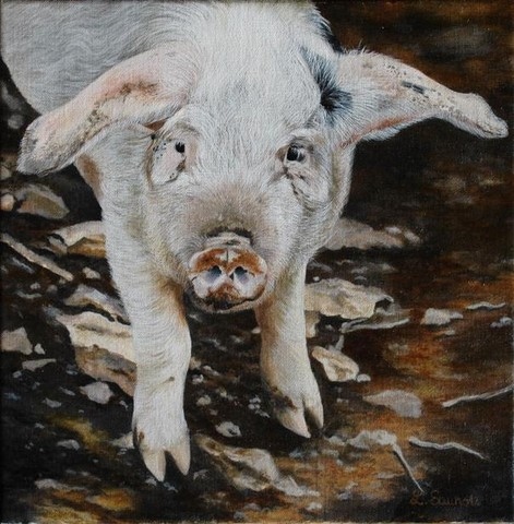 Tableau de porcelet par Laurence Saunois, peintre animalier