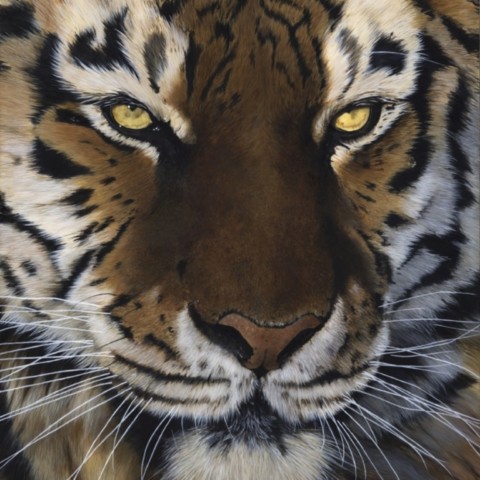 Peinture d'un portrait de tigre en gros plan